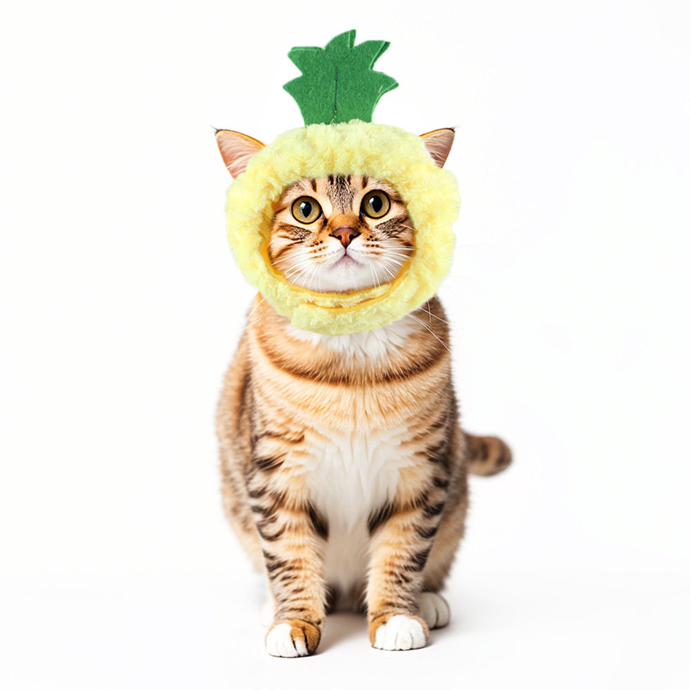 パイナップルキャップb05304