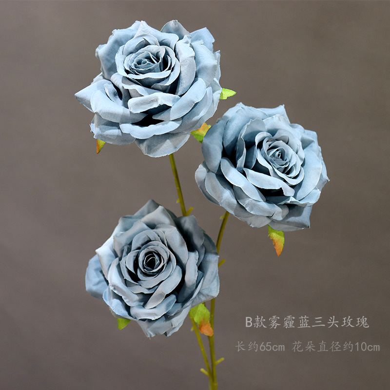 Bのスモッグの青い3つのバラ