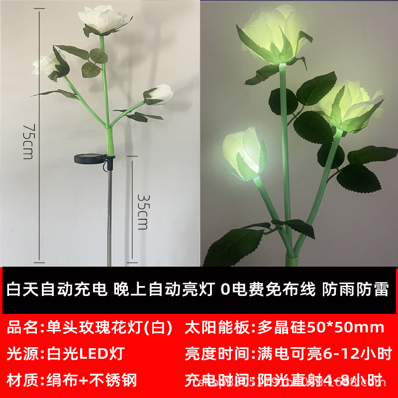 太陽エネルギー-3頭-白薔薇 (裸服)