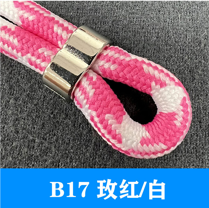 B17バラ