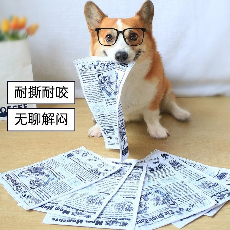 新聞