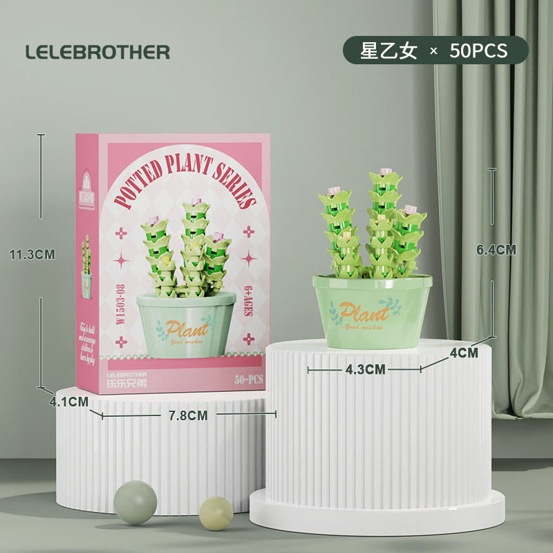 【多肉鉢植え～星乙女】カラーボックス