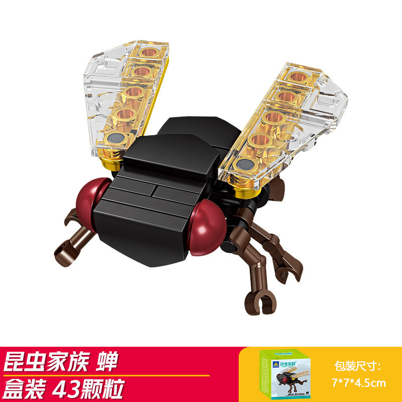 セミ (開智 2024)