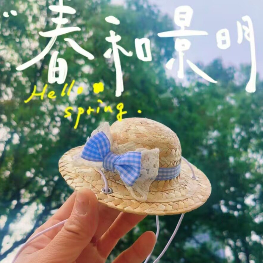 春のレースの青いリボン