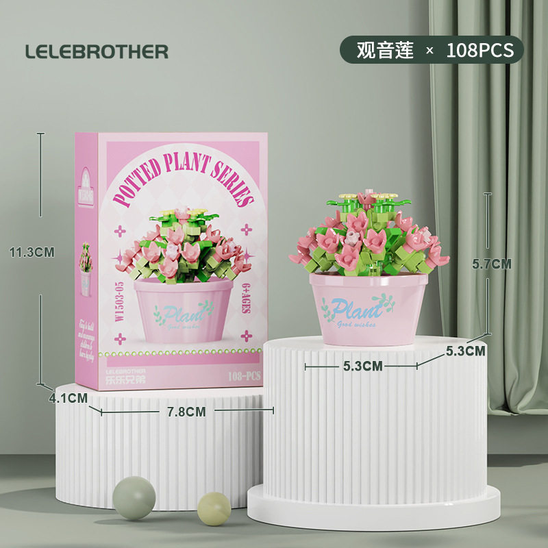 【多肉鉢植え・観音蓮】カラーボックス