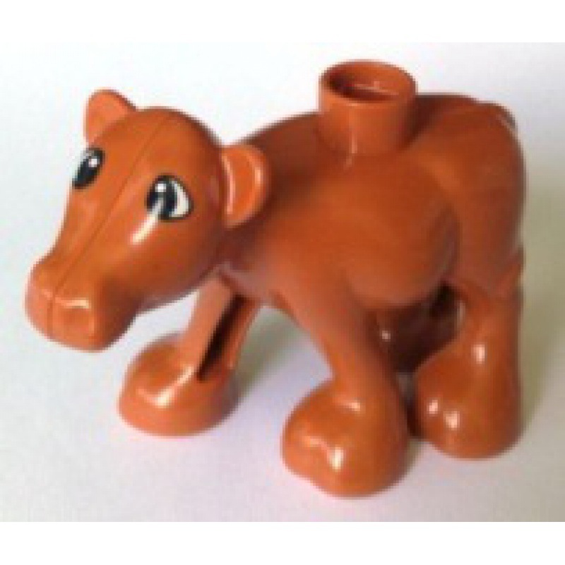 茶色の子牛
