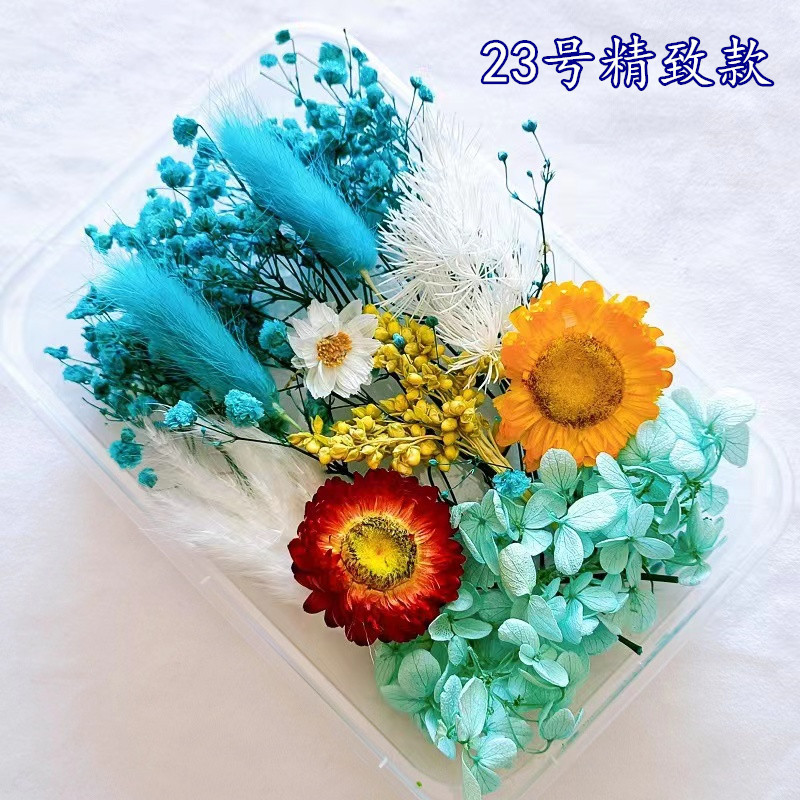 23号精製金永生花材1箱
