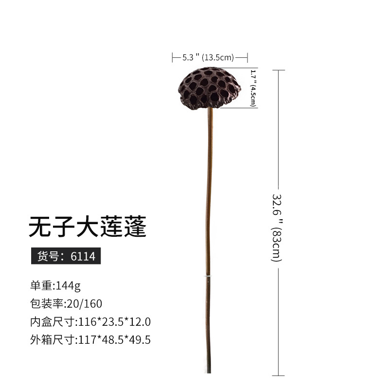 6114子なし大蓮蓬(160枝から予約)