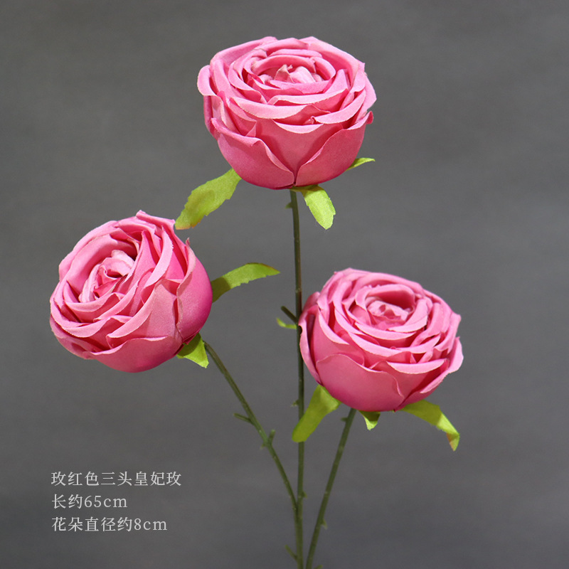 バラの赤い三頭の皇妃の薔薇の一本