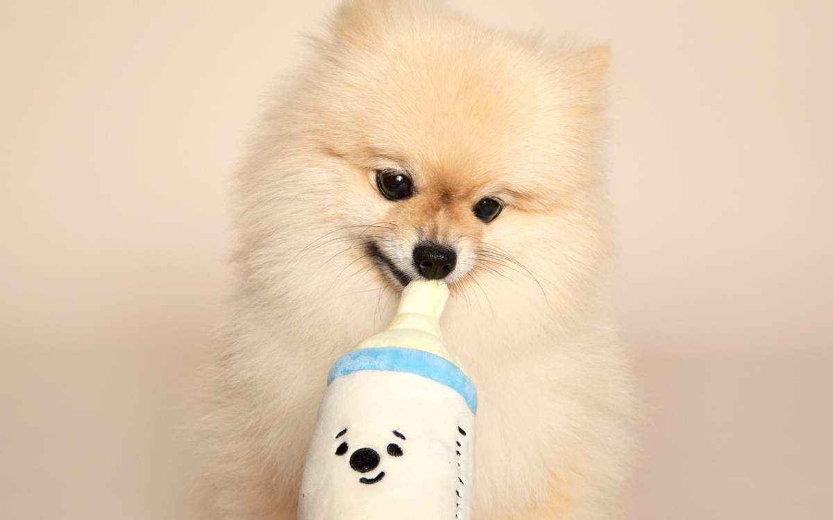 牛乳瓶