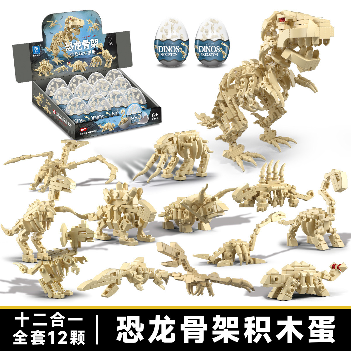 【K56恐竜の骨格-合体】12個の髪を撮る