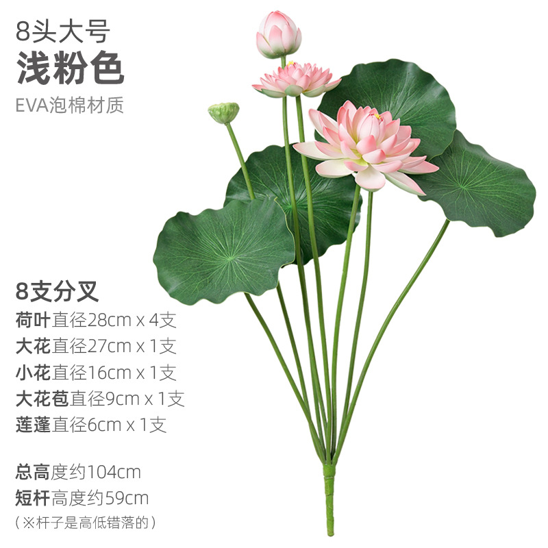 8頭の大きいサイズの薄い粉