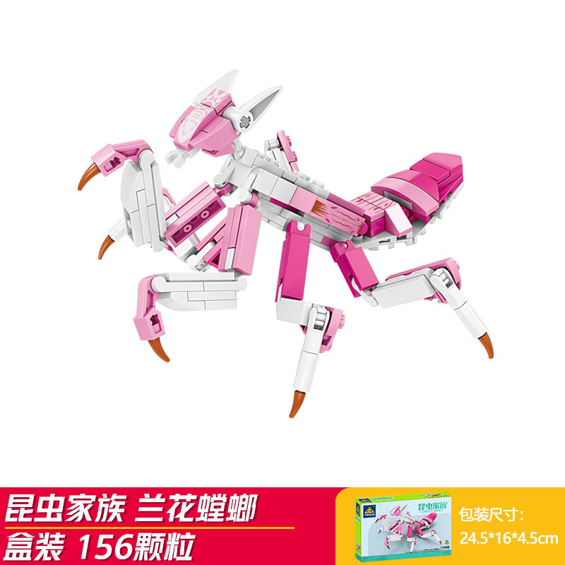 ランカマキリ (開智80056-2)