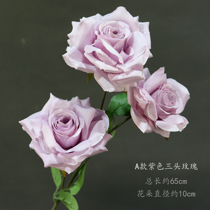 A型紫三頭薔薇