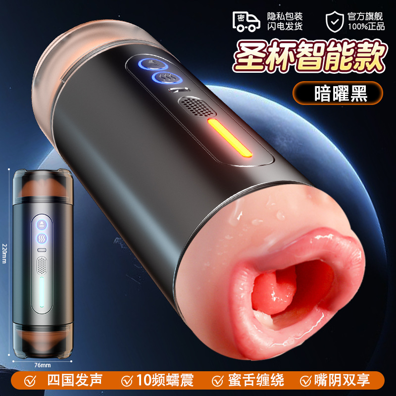 ホーリーグレイル - スマートブラック（一杯両用、双頭口膣＋振動＋四国発音＋イヤホンなし）