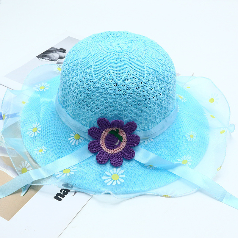 網糸菊の縁が青い