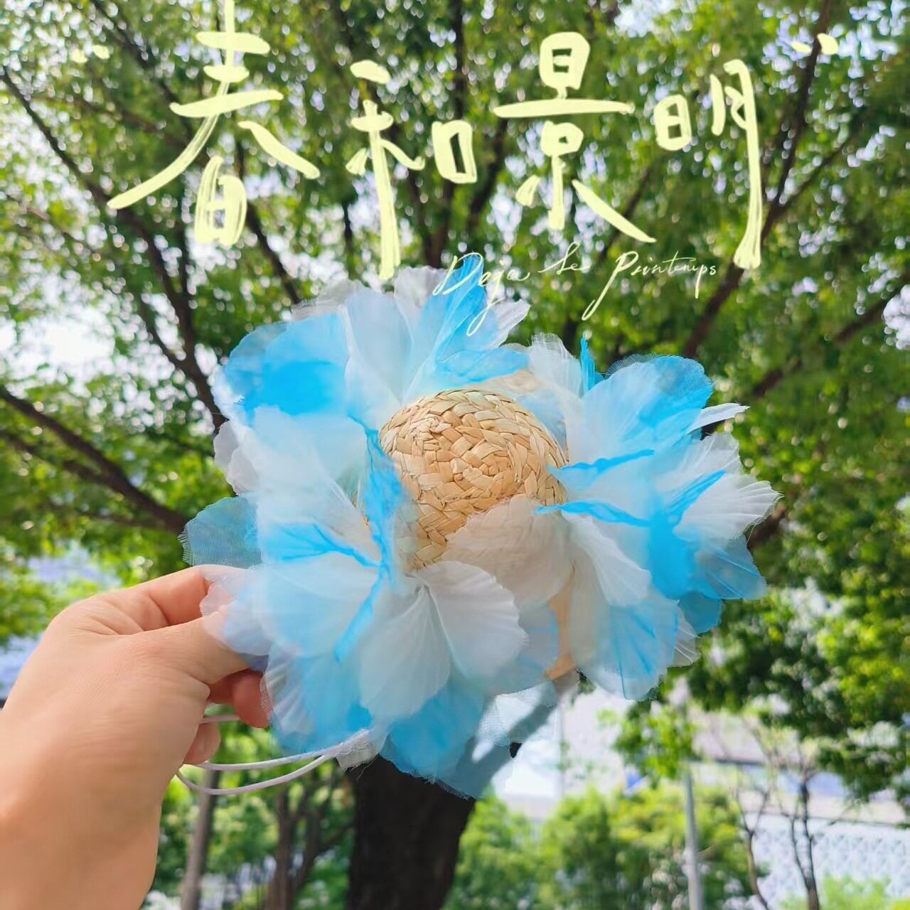 ブルーの花が3個（11cmの花が2個）