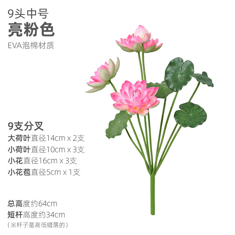 9頭の中サイズの明るい粉