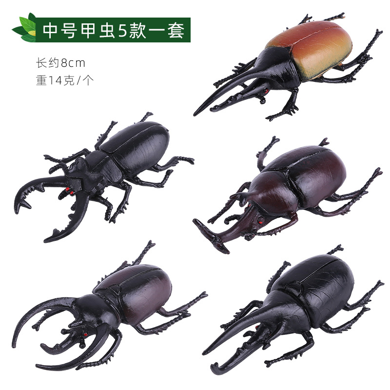 プラスチック中型カブトムシ