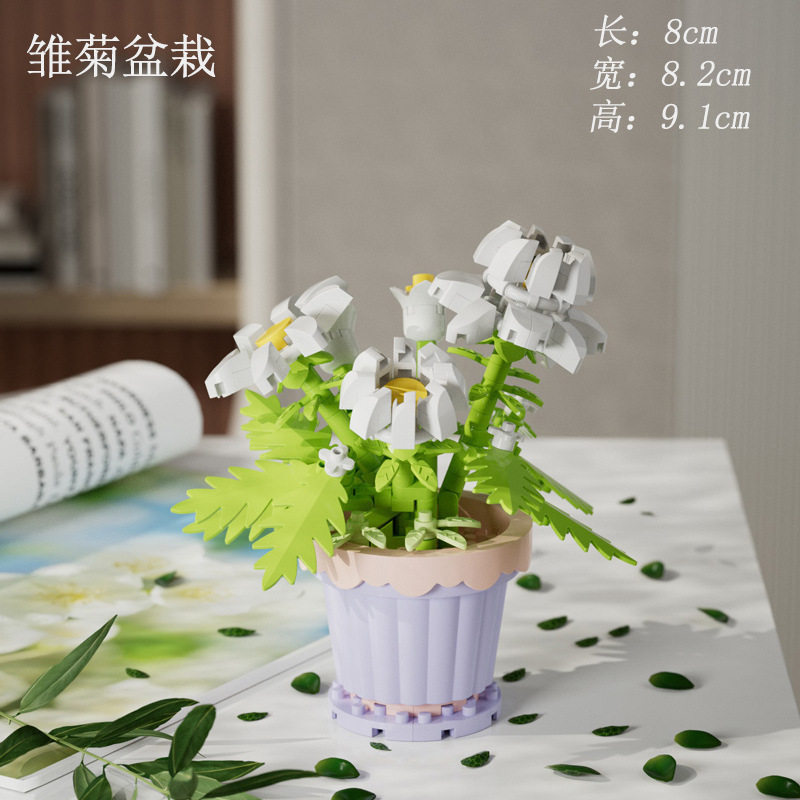 鉢植え-デイジー 189個