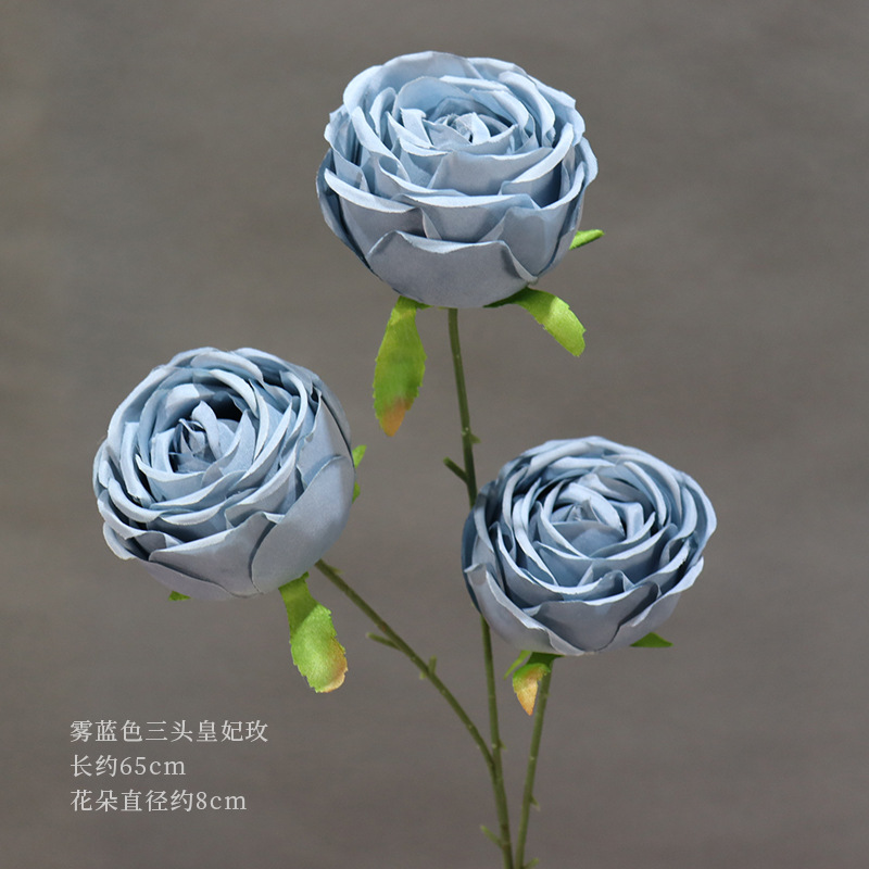 霧青三頭皇妃玫一枝