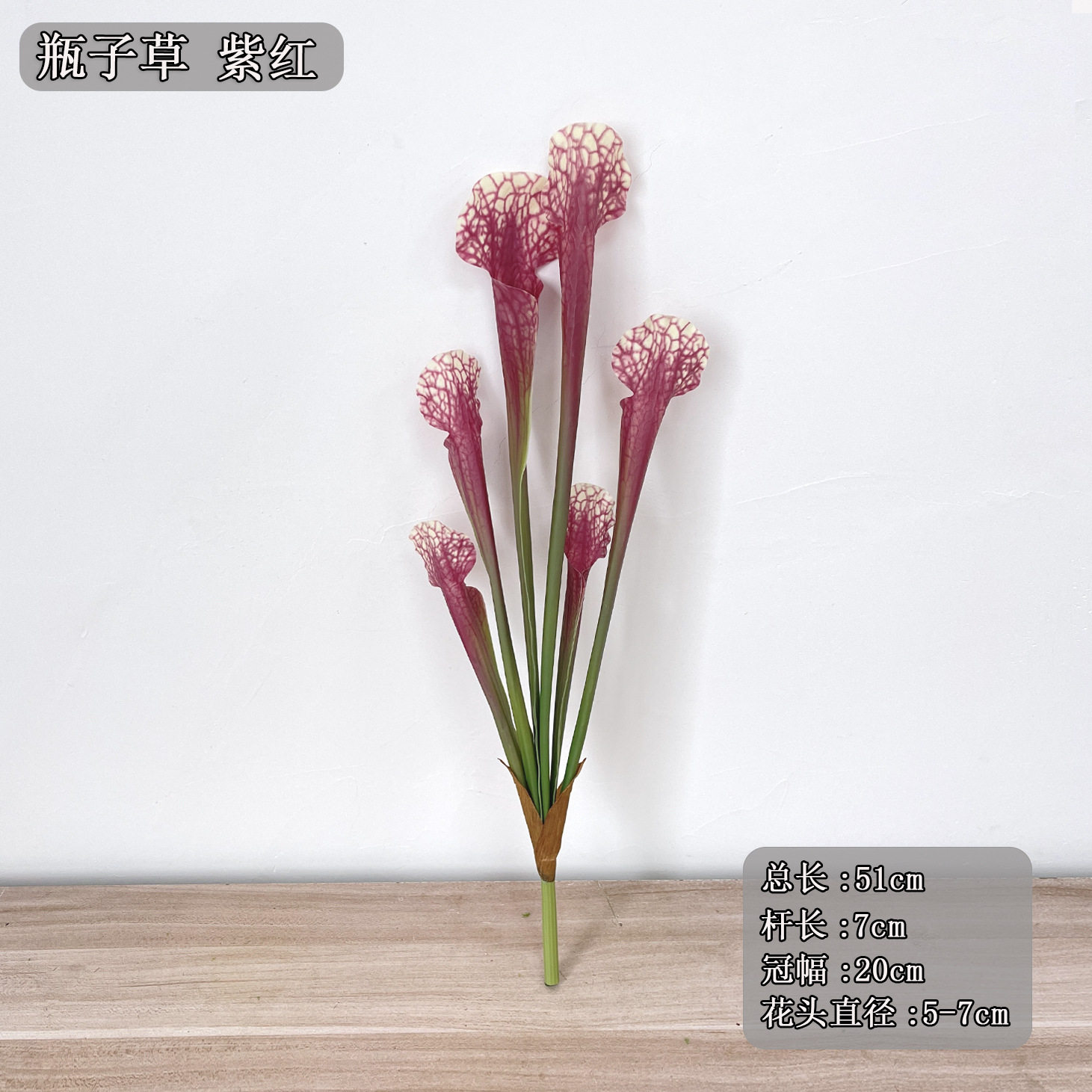 ボトルグラス：紫赤