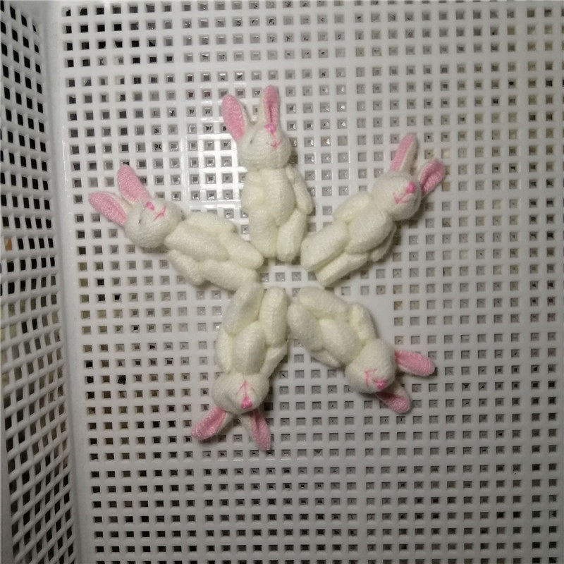 6cm毛布を引っ張るウサギ