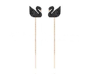 ブラックスワンの耳ワイヤー