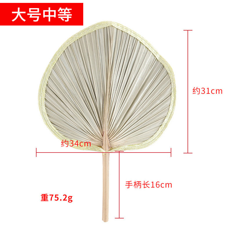 大サイズ中程度 (一部のかびのわずかな欠陥)