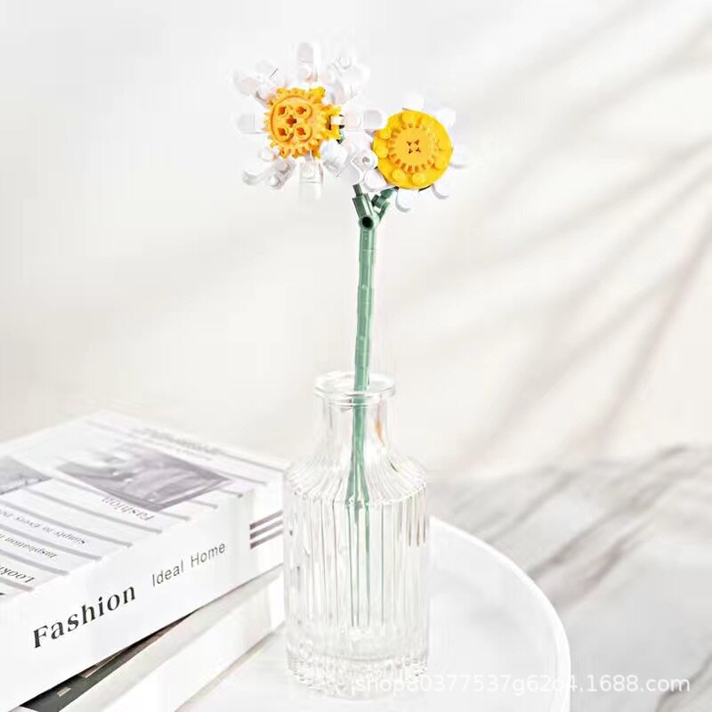 JK2632 シャオ・ゾウジュ