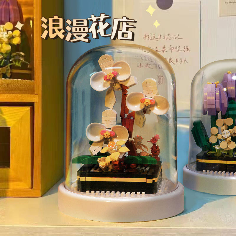 高貴君子蘭【防塵カバー】高級ギフトボックス