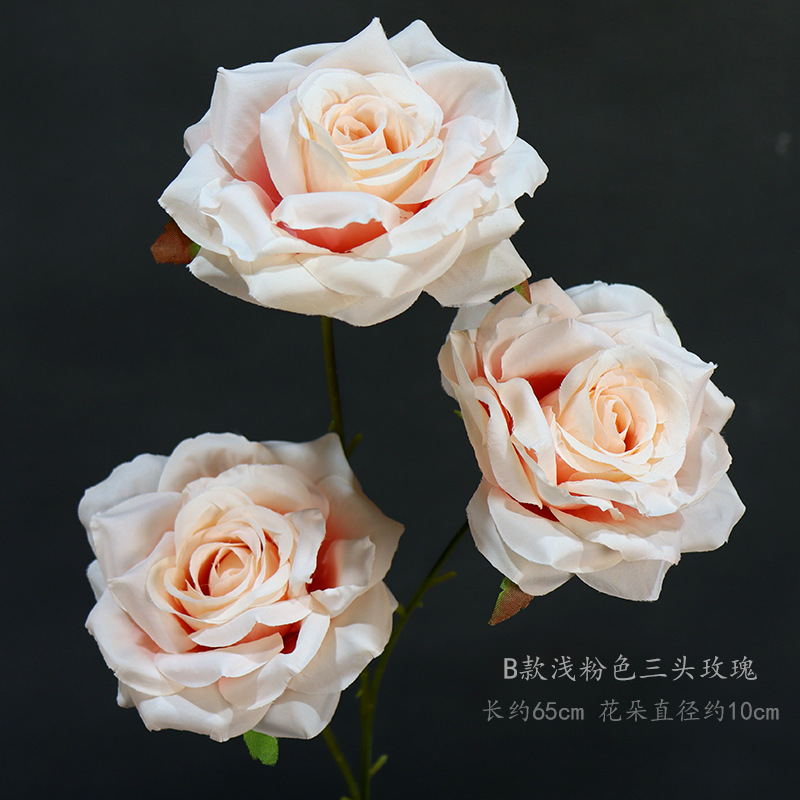 Bタイプの薄いピンクのバラ