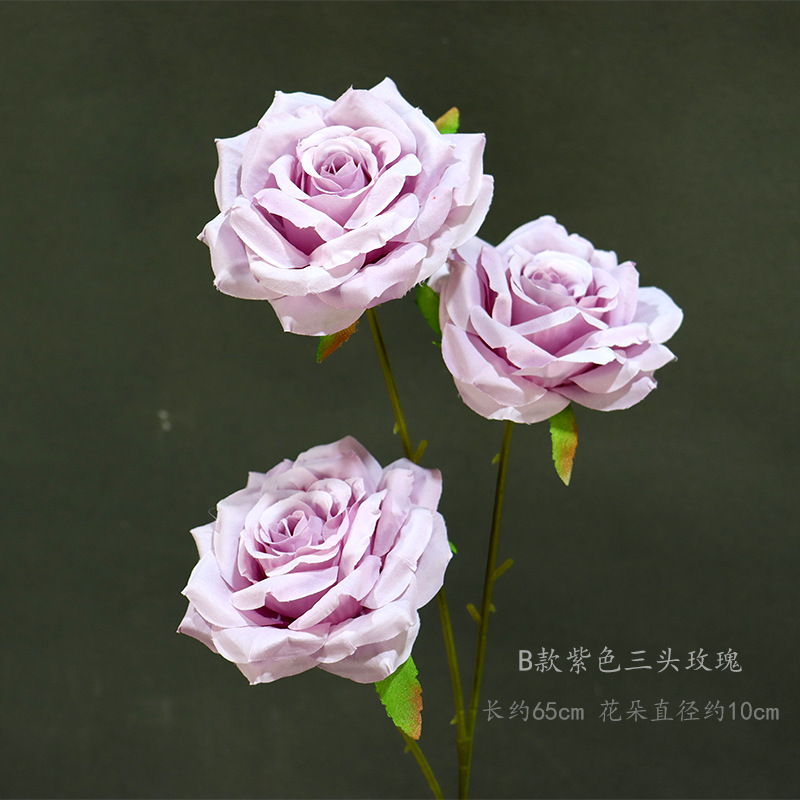 B型紫三頭薔薇