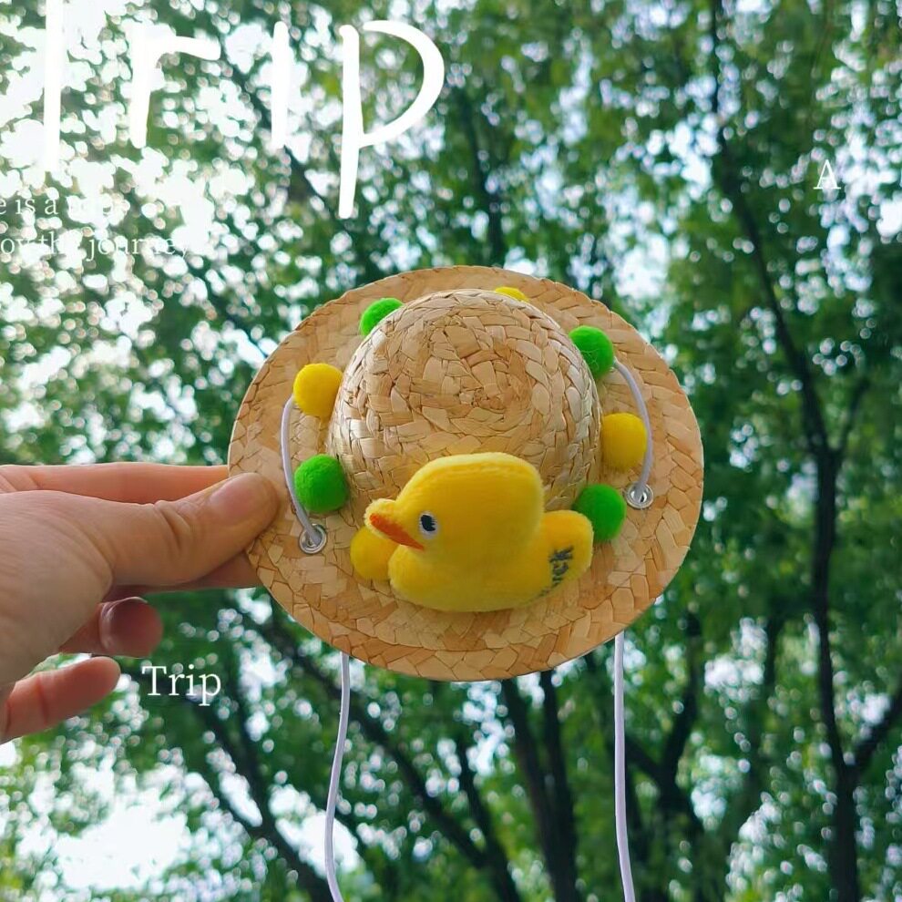 小さな黄色いアヒル