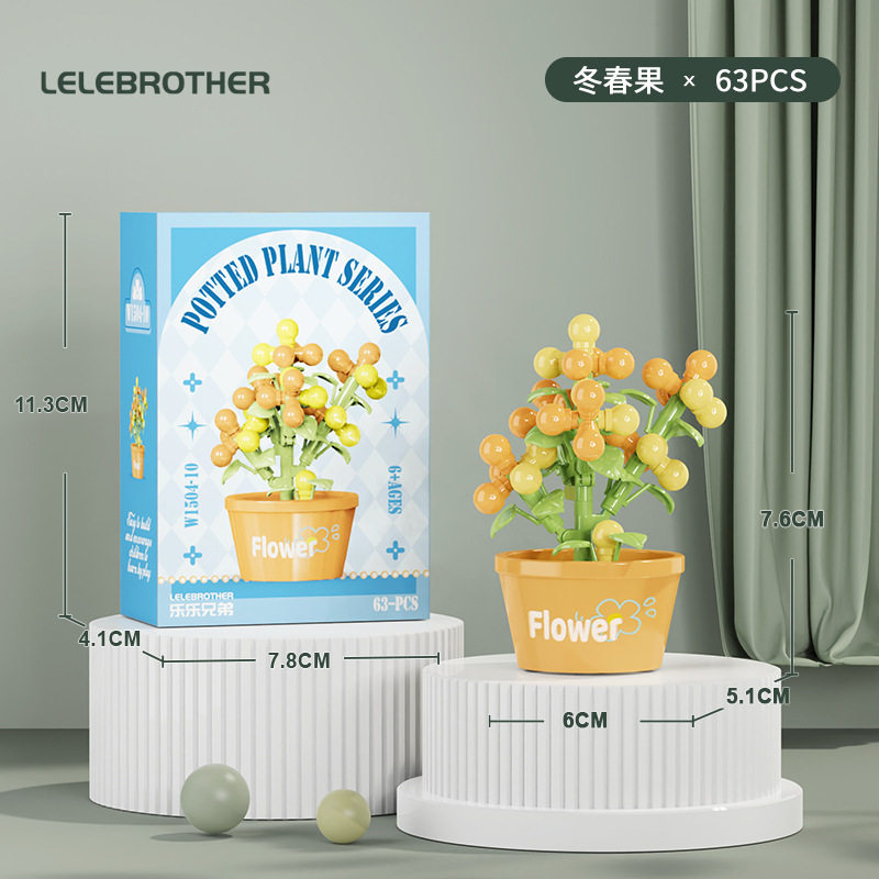 【花鉢植え～冬春の果実】カラーボックス