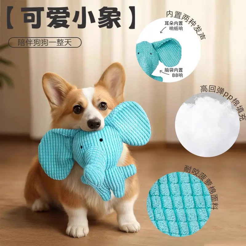 【犬が見える色】一日中夢中になれます
