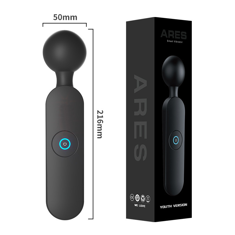 アレス AV スティック ユース エディション (充電式) 6970556031374
