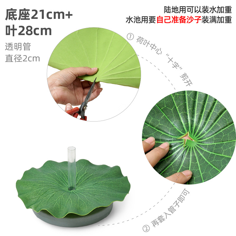 プラスチックベースと蓮の葉