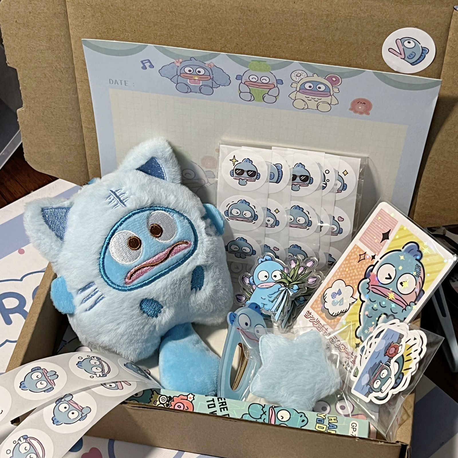 カクレクマノミ 普通セット(10個入) 飛行機箱