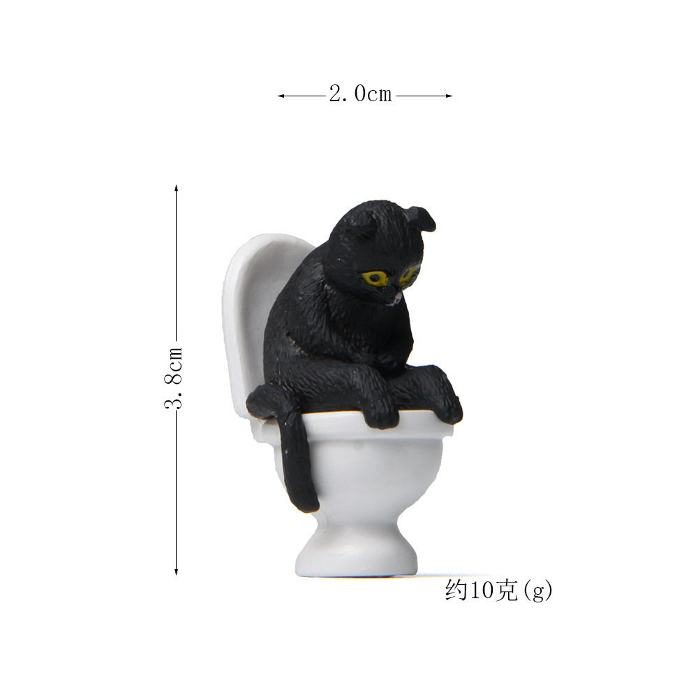黒い猫がお腹を覆って座る姿はトイレのようです。