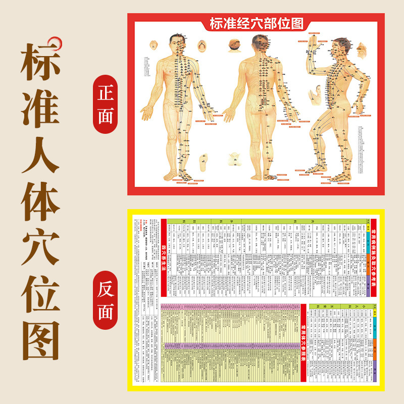 経穴の地図