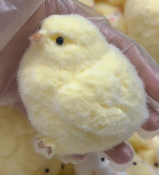 大きなチンポをつまむ