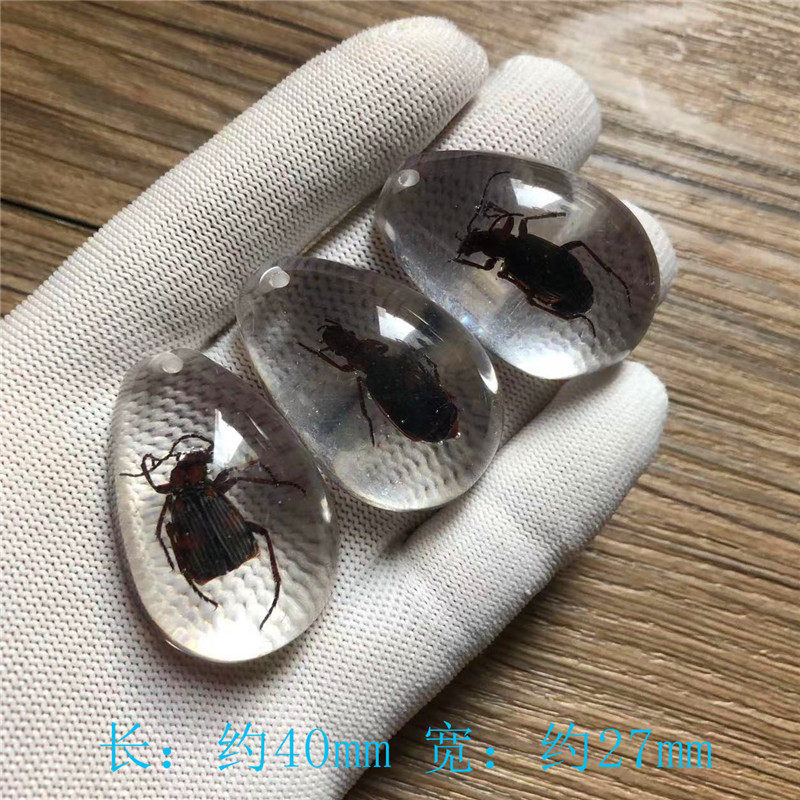 白地に花ぶち甲