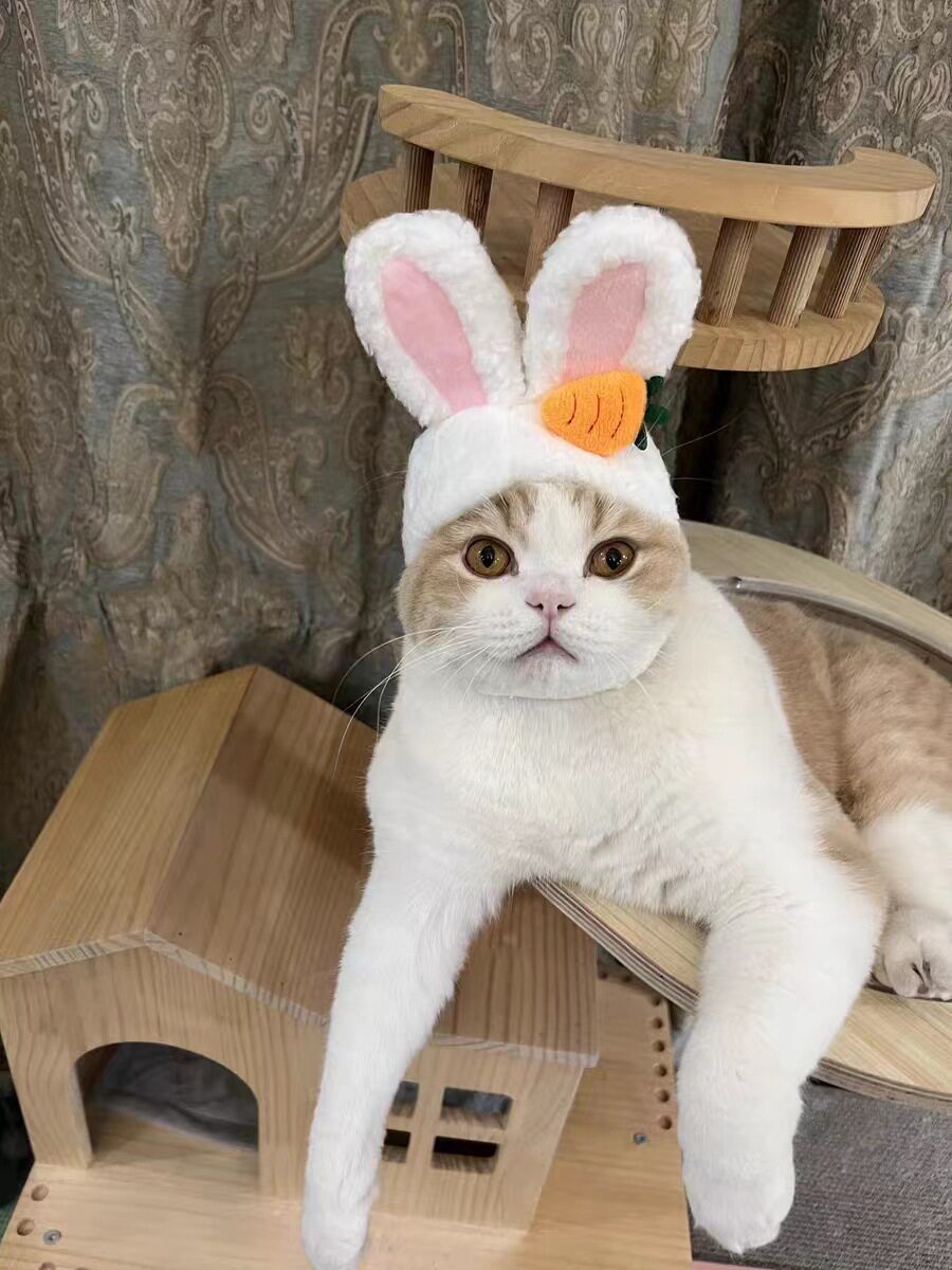 うさぎ帽子 B03301