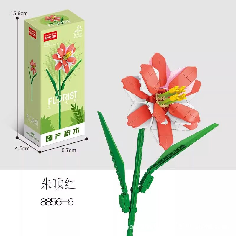 8856-6 アマリリス