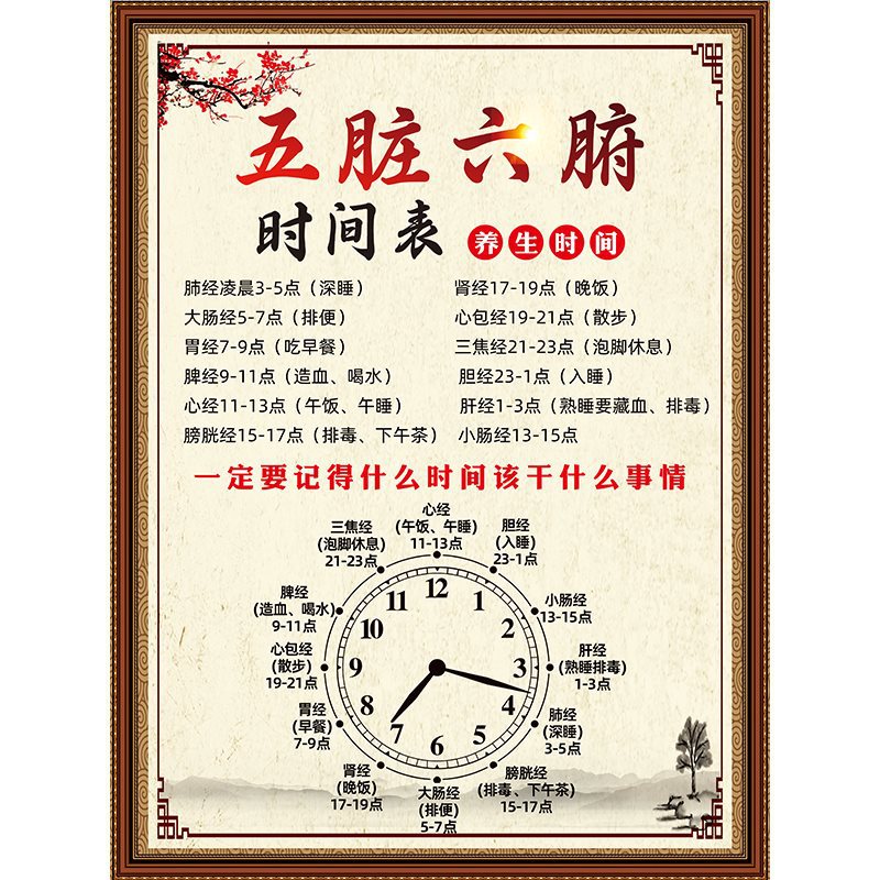 25 内臓のタイムライン