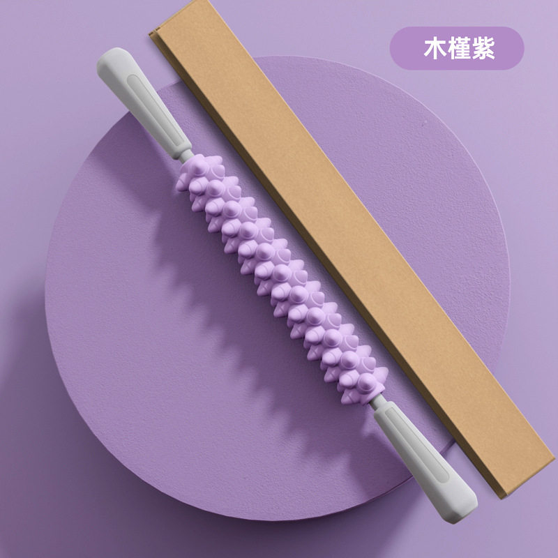 ハイビスカスパープル【箱入り】