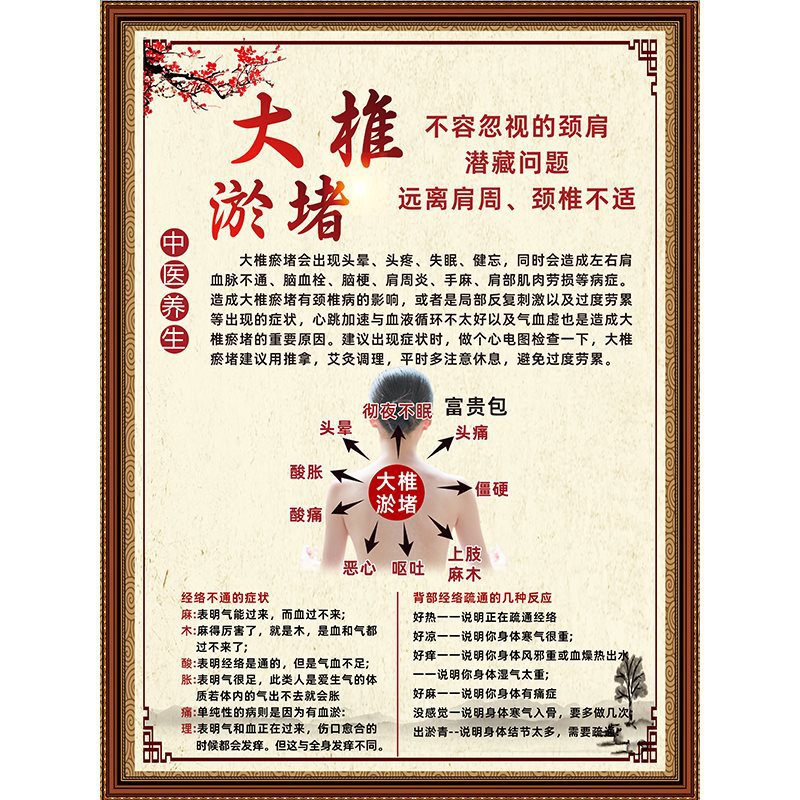 12 脊椎閉塞