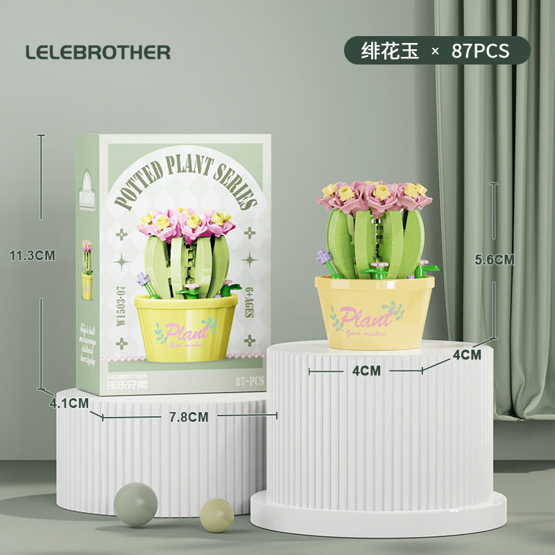 【多肉鉢植え・紅花翡翠】カラーボックス