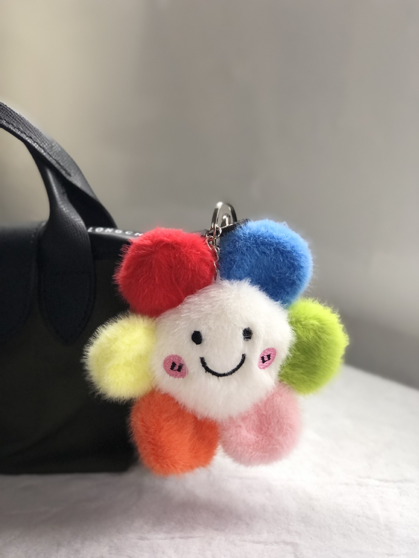 六色の花